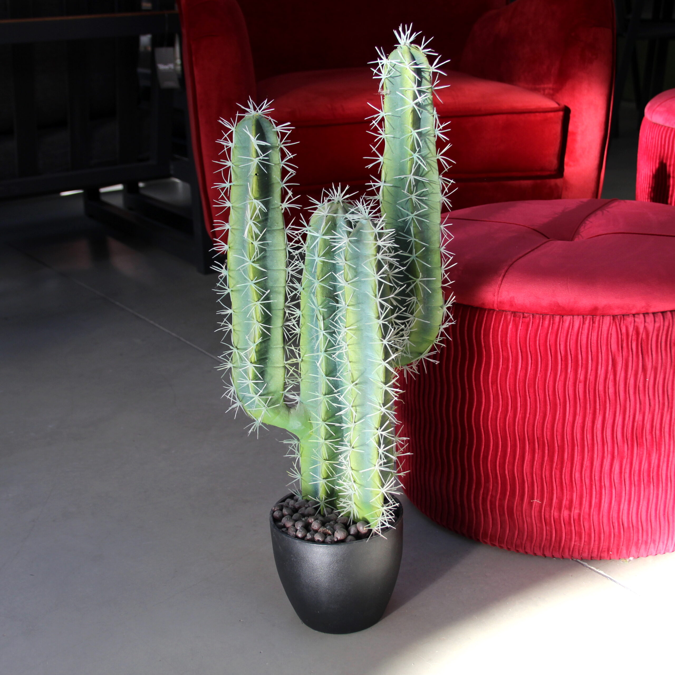 Desert Cactus Pianta Artificiale - Show Garden Arezzo